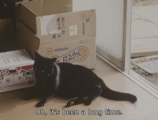 Dogs & Cats (Nami Iguchi, 2004)(ENG SUB)