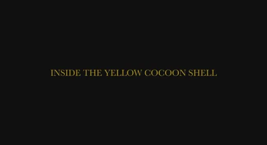 Внутри жёлтого кокона / Inside the Yellow Cocoon Shell (2023) dir. Pham Thien An [1080p] (RUS SUB)