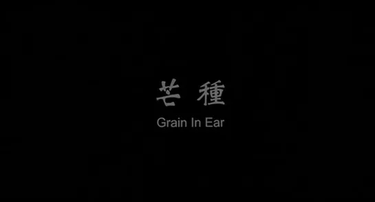 Зерно в ухе / Mang zhong / Grain in Ear (2005) dir. Zhang Lu (RUS SUB)