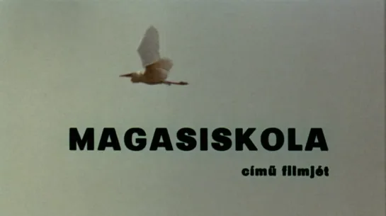 Высокая школа / Magasiskola (1970) dir. István Gaál (RUS SUB)