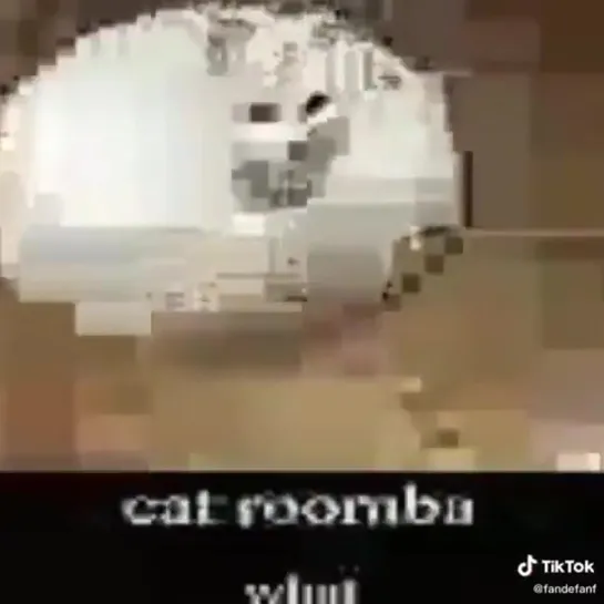 CAT ROOMBA