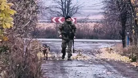 Видео от Елены Ткачевой