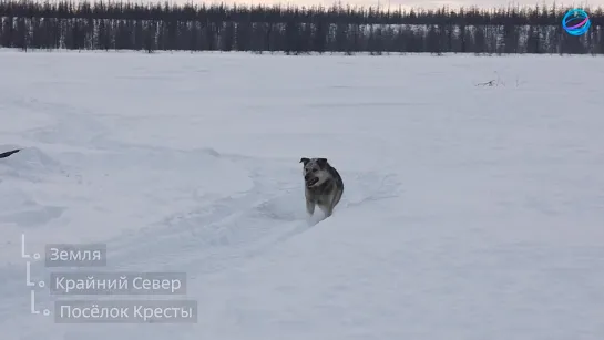 Видео от Сервис путешествий Tutu.ru