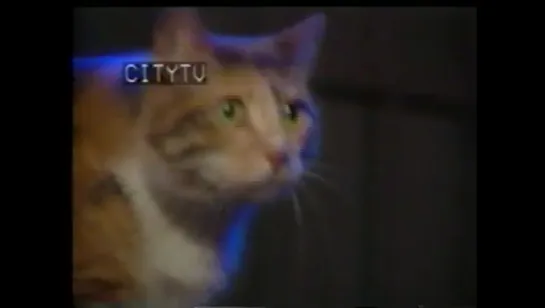 Mark Sandman - Interview (CityTV, The New Music, 1995)