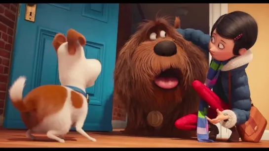 Тайная Жизнь Домашних Животных (The Secret Life Of Pets) (2016) [Трейлер #3] [720]