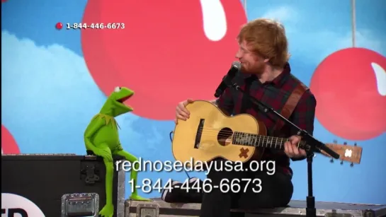 Kermit and Ed Sheeran - Rainbow Connection (Live At Red Nose Day 2015)