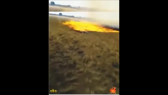 Laser based Firenado examples - dewing the Crop Circles