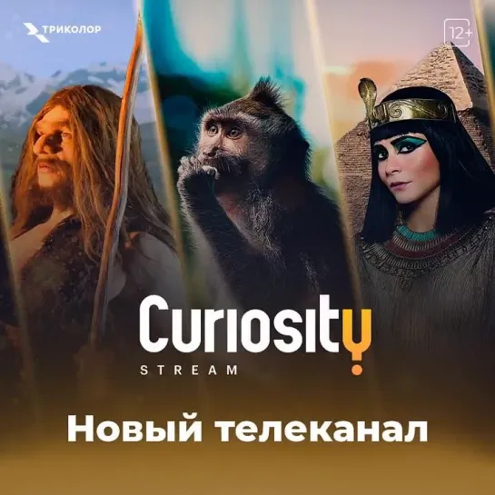 Телеканал Curiosity