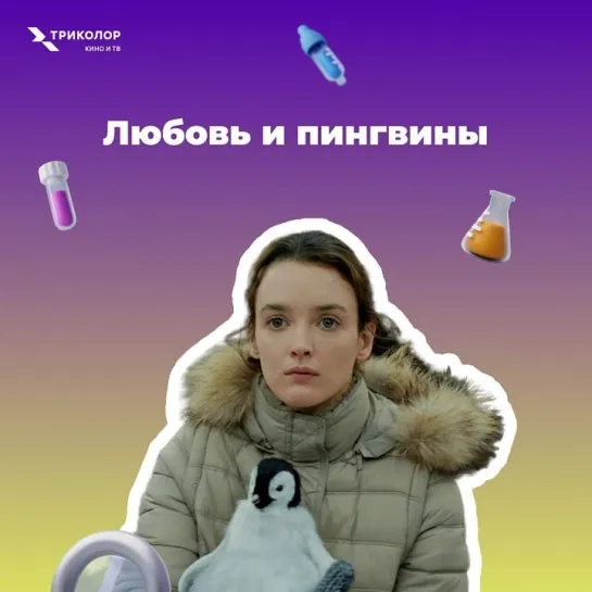 «Любовь и пингвины»