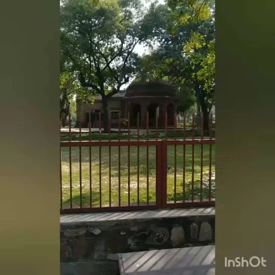 Кутуб Минар, Дели. Qutub Minar, Delhi