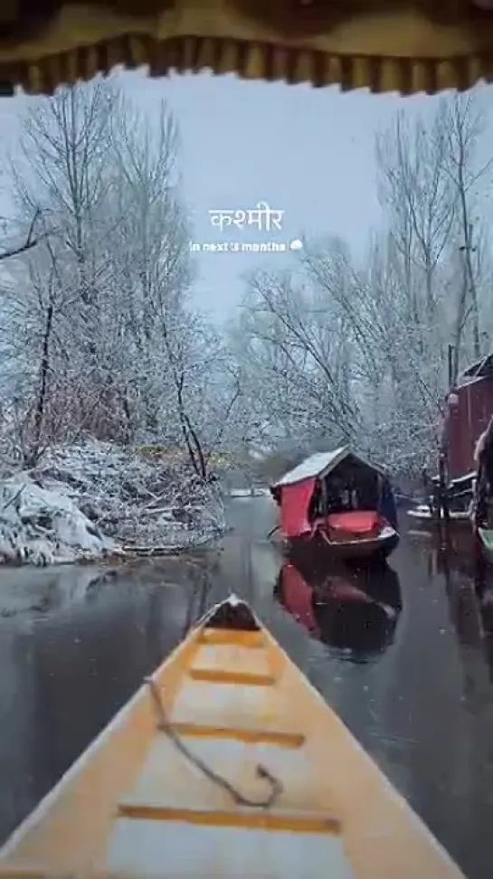 Kashmir