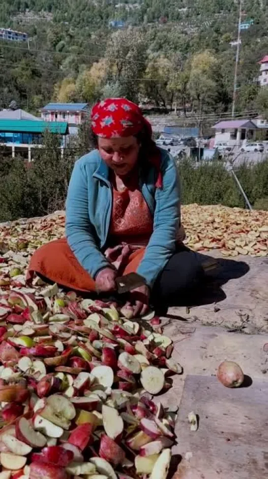 Making of local apple wine in Kalpa | Himachal