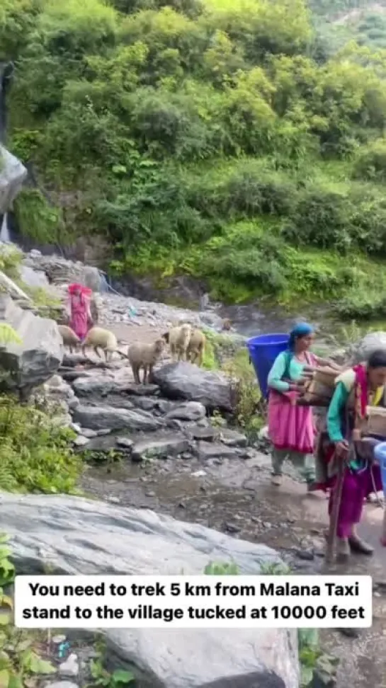 Malana village. Himachal Pradesh