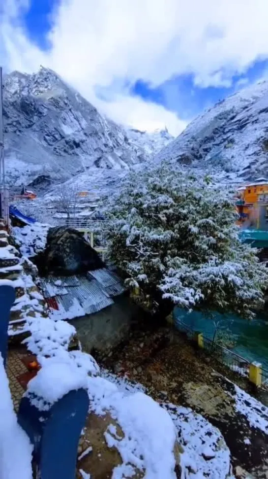 ❄️Snowfall in Badrinath Dham (2)