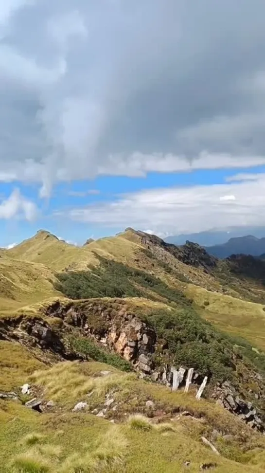 Khaliya Top, Munsyari, Uttarakhand