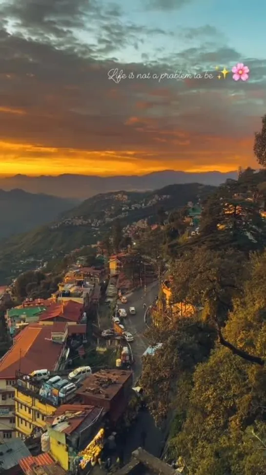 Shimla