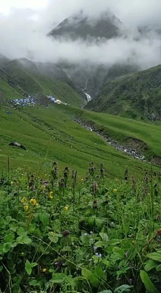 Valley of flowers