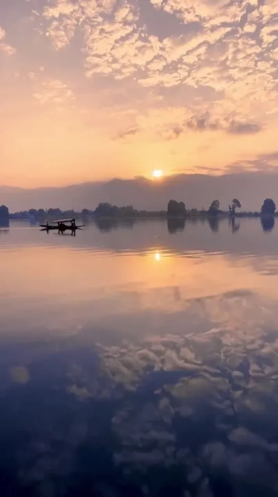 Dal lake. Srinagar. Kashmir