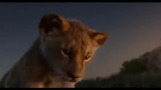 New TheLionKing international TV spot