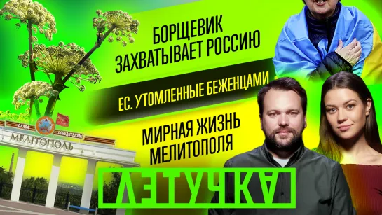 Украинцы больше неинтересны европейцам. Мелитополь сегодня. Война с борщевиком. 3 июня | «Летучка»