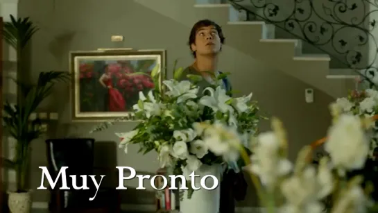 Medcezir Peru Latina 2022