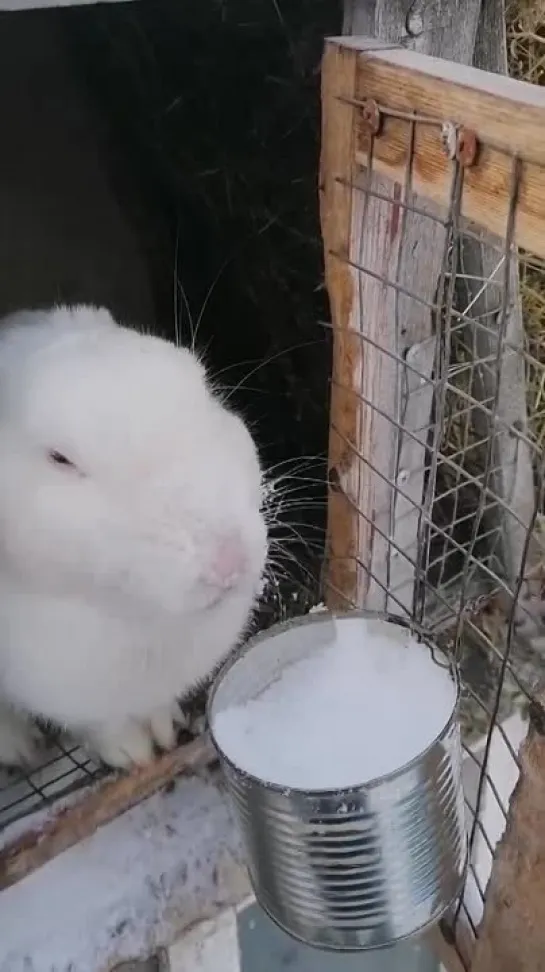 Видео от Екатерины Дуко