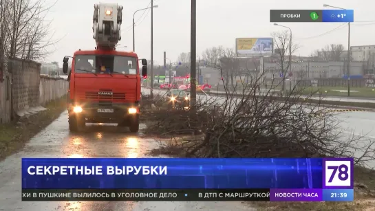 Секретные вырубки. Неделя в Петербурге. 08.03.20