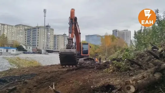 В центре Екатеринбурга возле Царского моста рабочие уничтожили около 50 деревьев