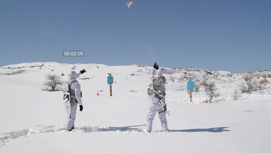 Hezbollah on skis