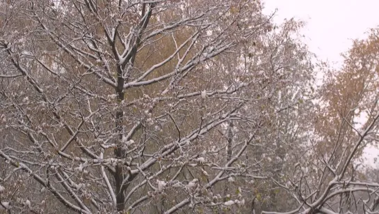 The First Snow in Moscow. Oct. 27, 2023 Der Erste Schnee in Moskau. 27. Oktober 2023