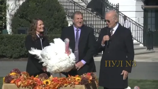 Joe interviews a turkey: God loves you. 21 Nov 2022