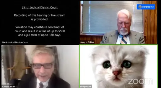 US Judges and the Cat