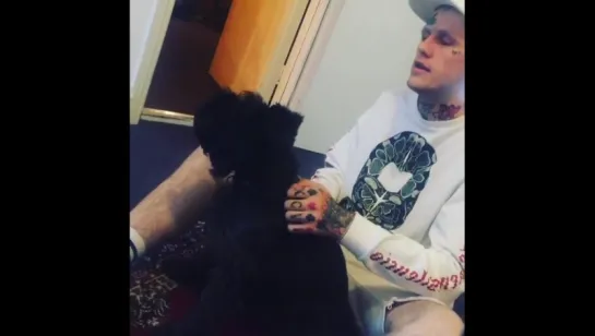 Lil peep loves dogs caught on camera his favorite breed