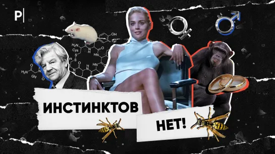 Почему у человека нет инстинктов? | PostNews