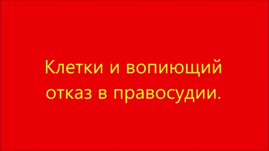 Клетки и вопиющий отказ в правосудии.