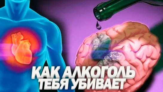 Влияние Алкоголя на Организм - Почему 90 % людей уже Алкоголики ...