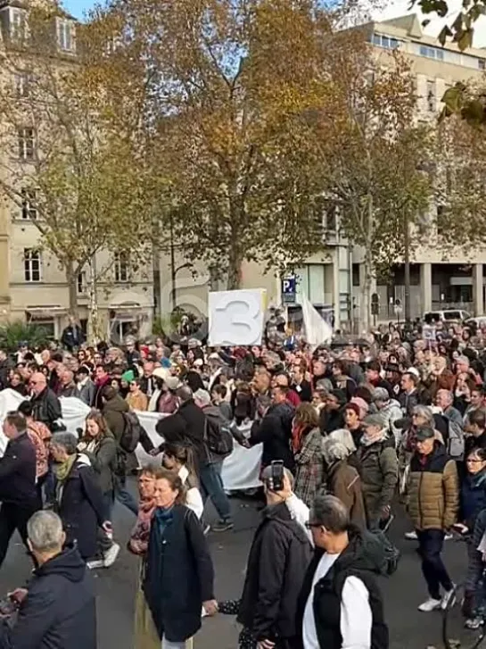 В Париже организовали «молчаливый марш» за мир на Ближнем Востоке