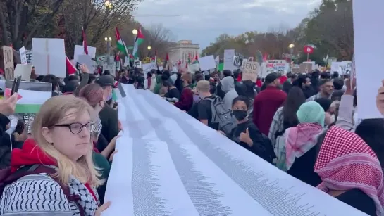 Многотысячная акция в поддержку Палестины