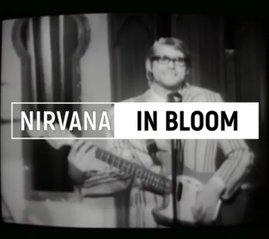 Nirvana - In Bloom