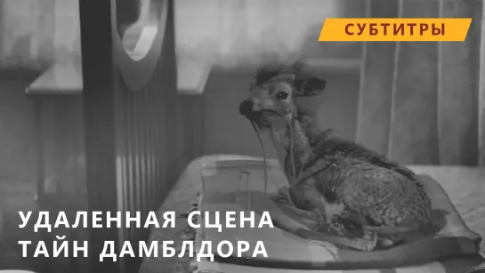 ФТ3 Удаленная сцена: Дом Ньюта [Рус.суб.]