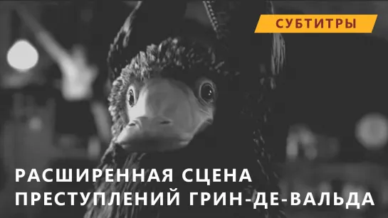 ФТ2 Расширенная сцена: Подвал Ньюта [Рус.суб.]