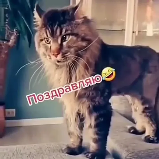 И с чем он интересно нас поздравляет...😂