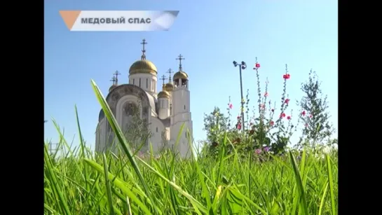 14-08-2016,Медовый спас, видеосюжет ZнакТВ