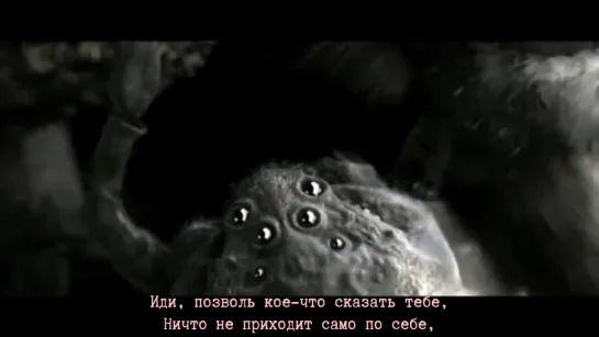 London After Midnight - Spider and the Fly (с переводом)