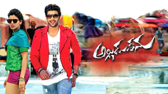 Alludu Seenu