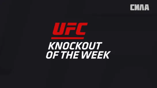 KO of the Week  Tony Ferguson vs Ramsey Nijem