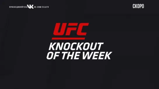 KO of the Week  Shogun Rua vs Lyoto Machida