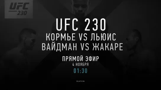 Промо UFC 230