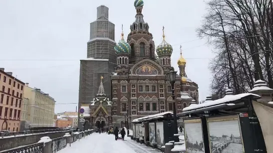 Кровь, Освободитель, яд в молоке самок китов…