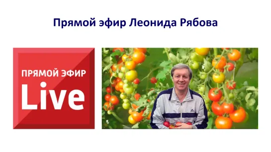 Что нужно сделать садоводу, чтобы вырастить богатый и полезный урожай, работая меньше соседей